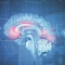 29 DE OCTUBRE. DÍA MUNDIAL DEL ACCIDENTE CEREBRO VASCULAR (ACV)